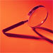 Clip_authnet_fds